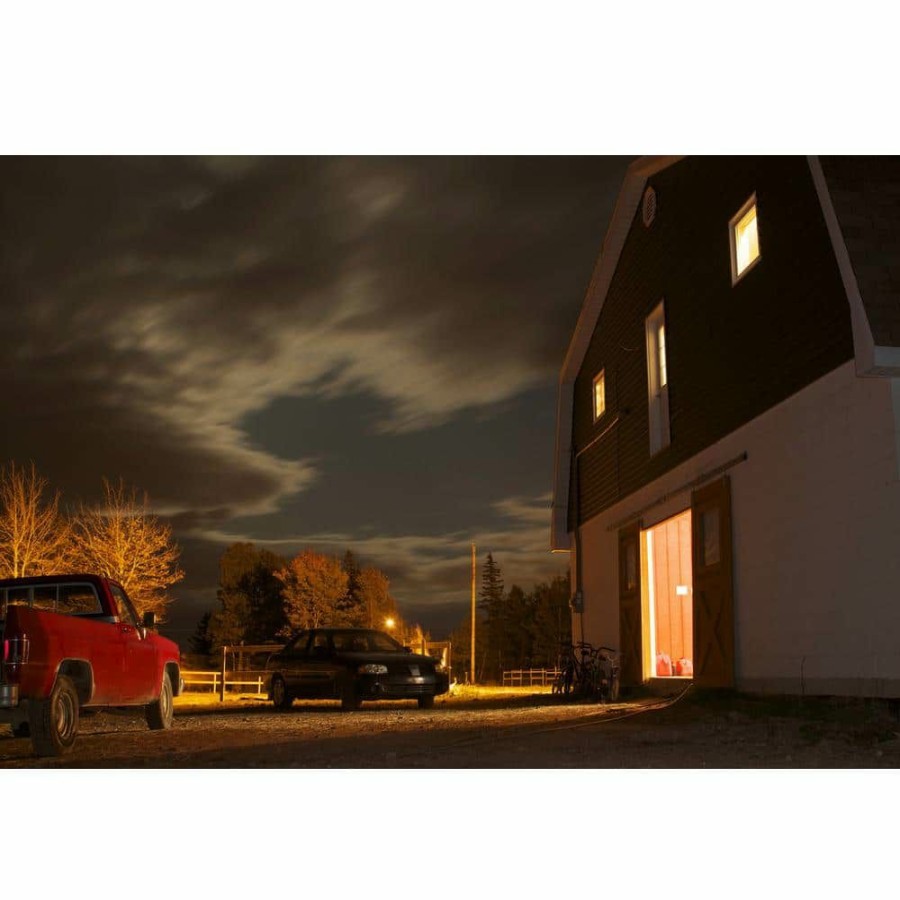 Outdoor Lighting * | 36 Watt Stainless Outdoor Security Single Head Dusk To Dawn Photocell Sensor Integrated Led Flood Light By Feit Electric