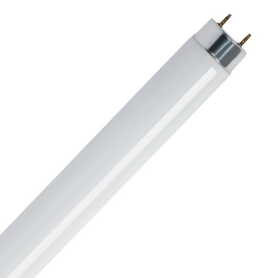 Light Bulbs * | 32-Watt 4 Ft. T8 G13 Linear Fluorescent Tube Light Bulb, Cool White 4100K (10-Pack) By Feit Electric